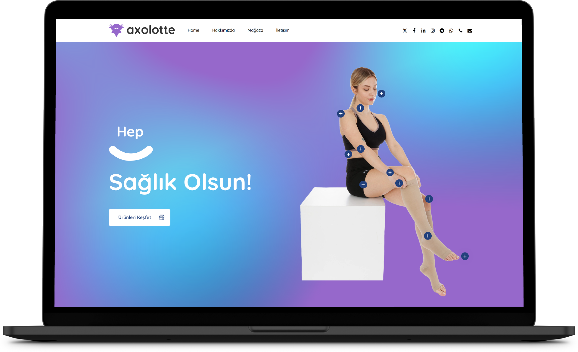 Axolotte — 1