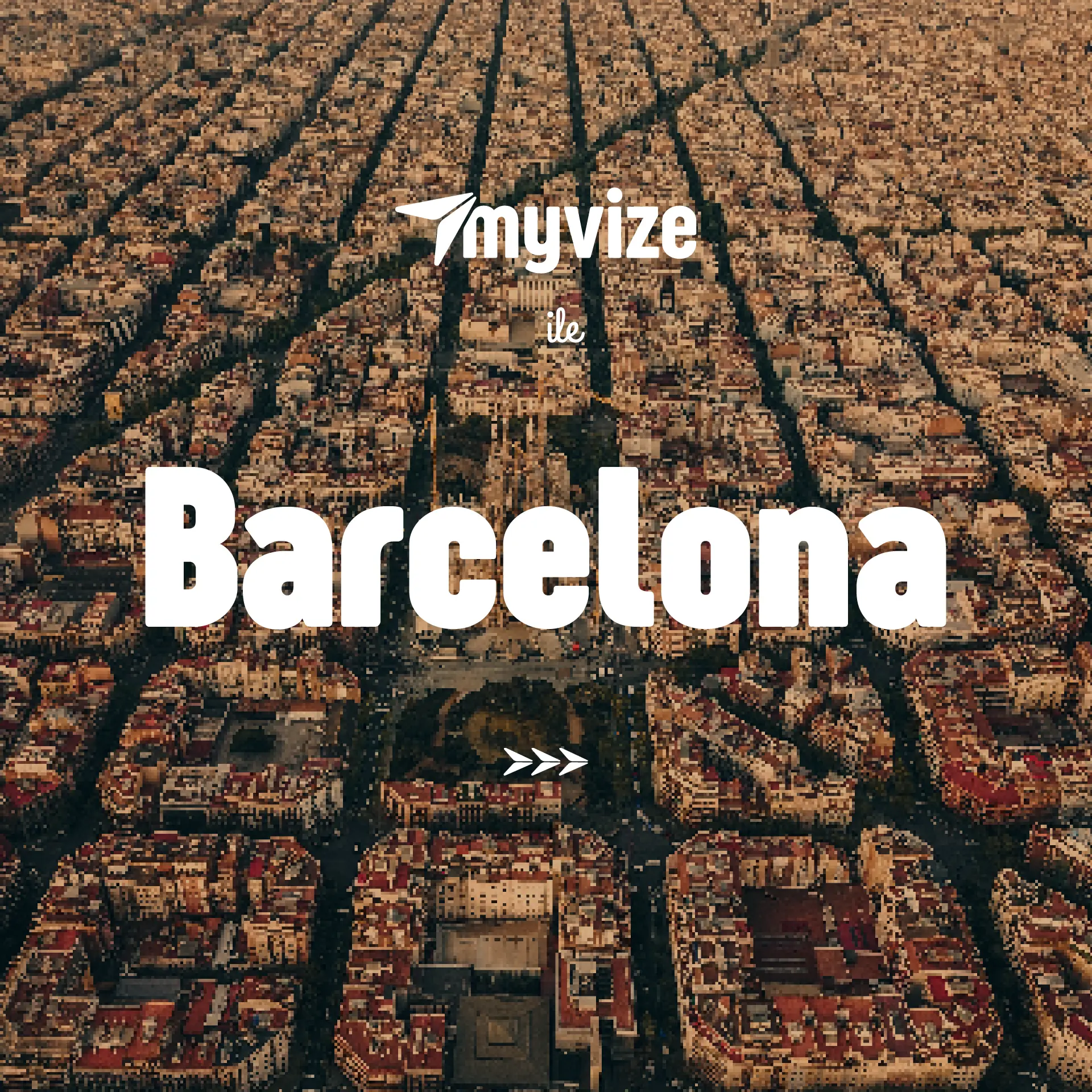 MyVize — 13