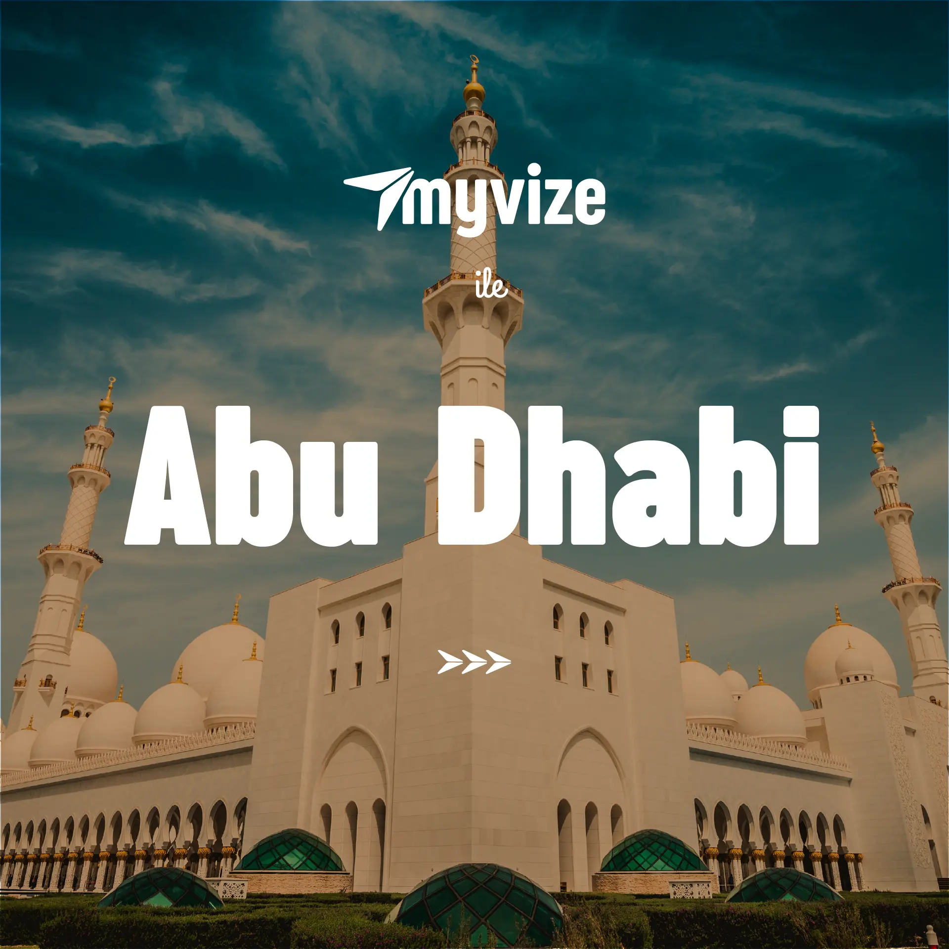 MyVize — 11